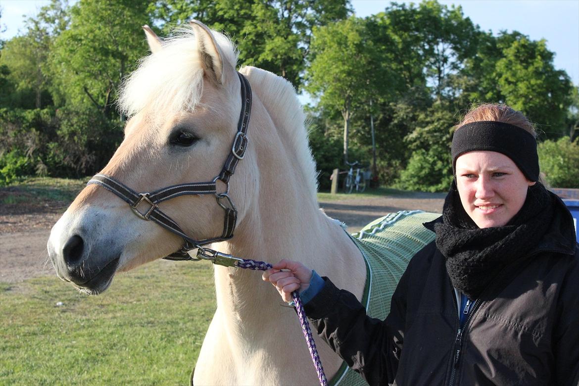 Aabenraa Dyrskue med Confetti - Her er vi lige ankommet til dyrskuepladsen :-) billede 1