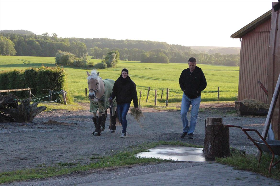 Aabenraa Dyrskue med Confetti - Confetti med alt udstyrret på :-) billede 7
