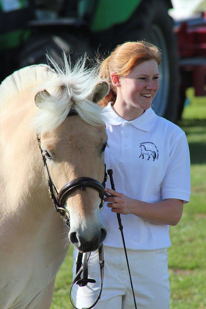 Aabenraa Dyrskue med Confetti - Så kom vi på banen, efter en del stress fra min side ;-) billede 18