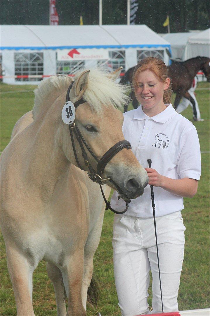Aabenraa Dyrskue med Confetti - Confetti og jeg :-) billede 20