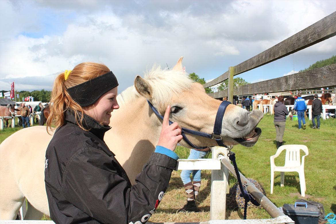 Aabenraa Dyrskue med Confetti - Smiil :-) billede 23