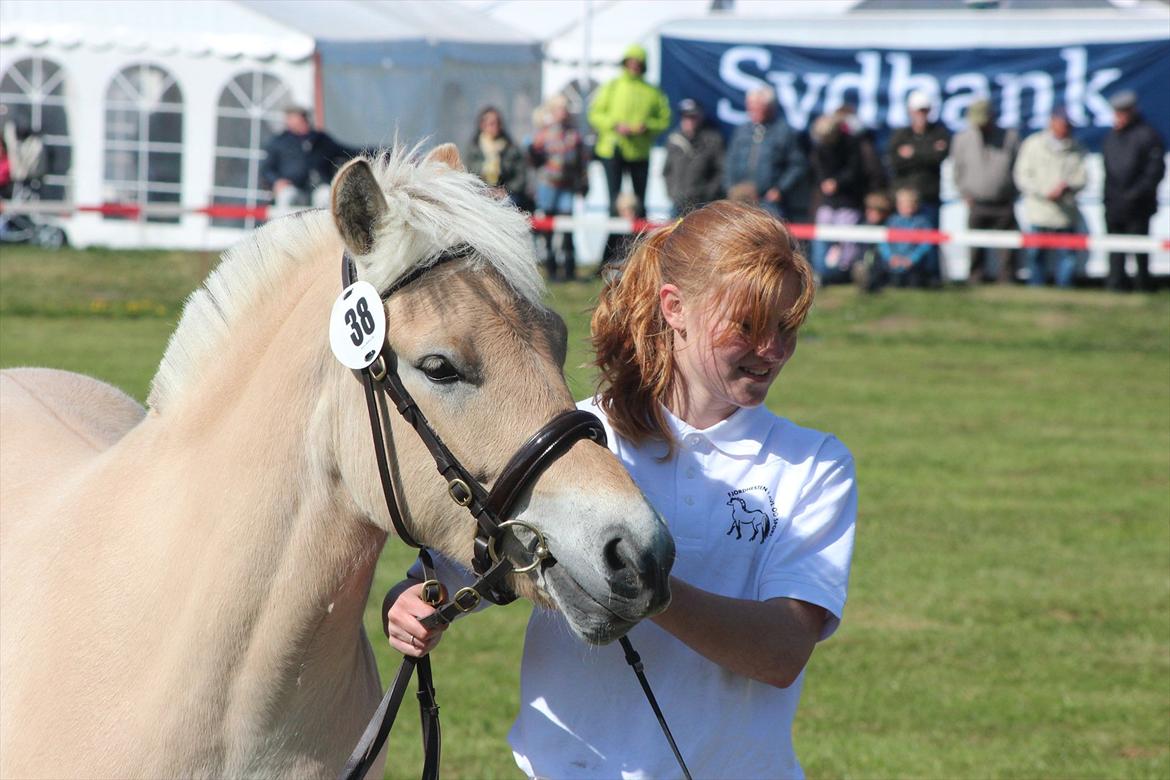 Aabenraa Dyrskue med Confetti - Confetti og jeg :-) billede 27