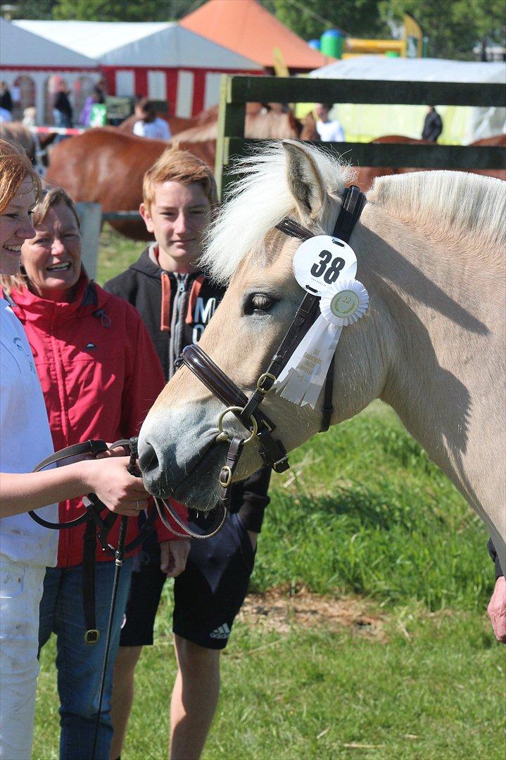Aabenraa Dyrskue med Confetti - Confetti med sin første roset ;-) billede 30