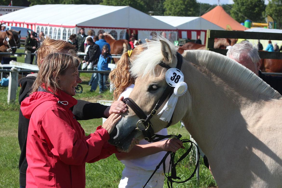 Aabenraa Dyrskue med Confetti - Hele familien samlet omkring ham :-) billede 31