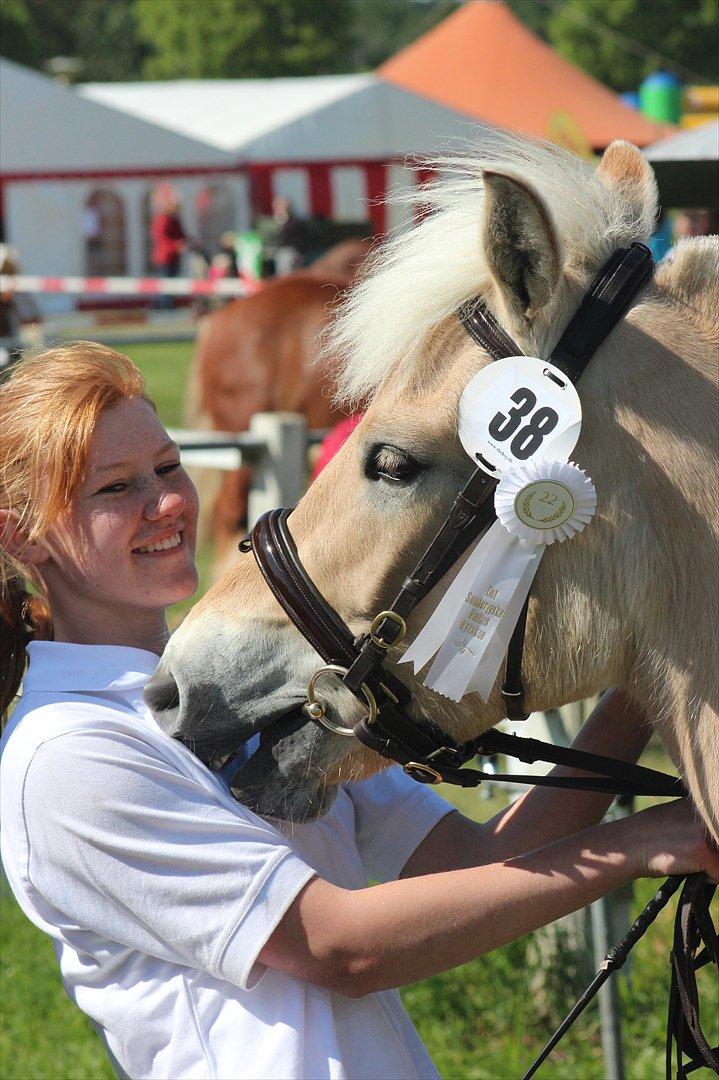 Aabenraa Dyrskue med Confetti - Fetti og jeg billede 32
