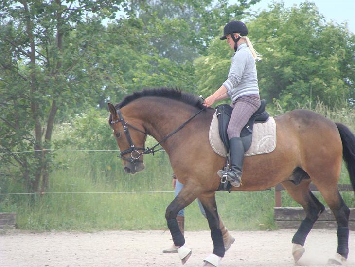 {{currentPhoto.altText}} billede {{currentPhoto.number}}