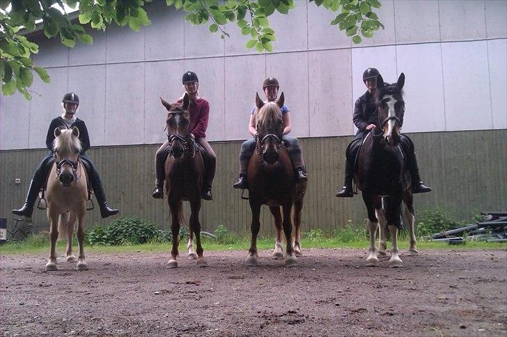 Fredericia Rideklub  - Katinka & Pauline :-) 
Anna & Daisy :-) 
Marialouise & Logan :-) 
Mig & Møller :-) 

- min hest, er desværre ikke på billedet, efter jeg ikke kunne ride på den, pga han er begyndt og hoste voldsomt meget :( Så tog jeg min gammle part Møller :-)  billede 5