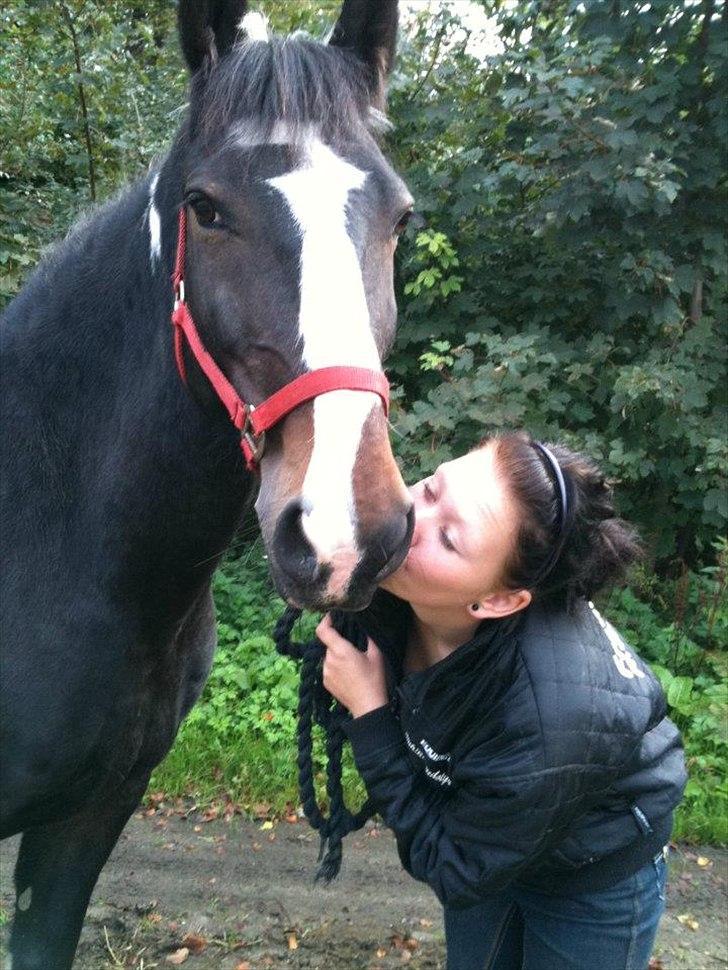 Fredericia Rideklub  - Mig og Møller :-) 

- Min gammle stjerne !<3  billede 7