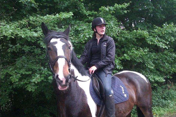 Fredericia Rideklub  - Mig & Møller :-) 

- Min gammle stjerne !<3 billede 8