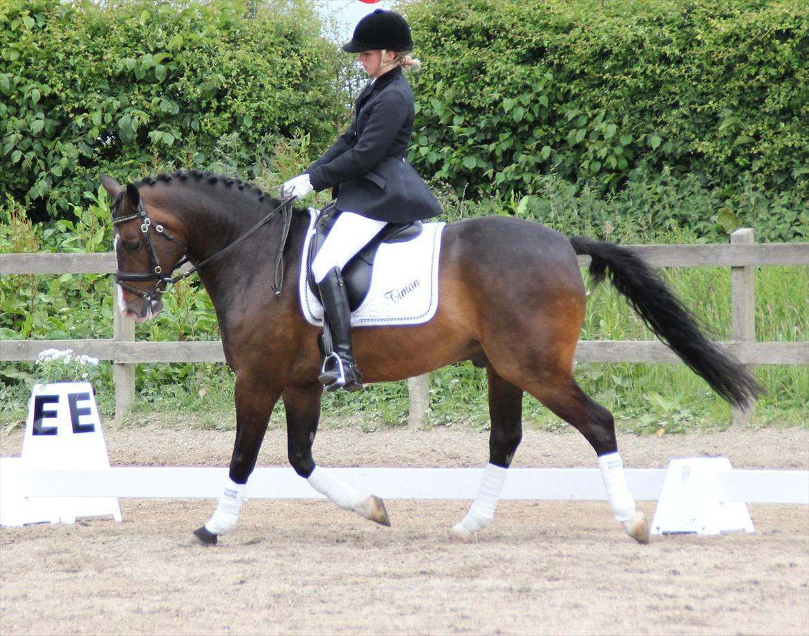 Stævner<3 - Stævne på Mattssons d. 10 juni 2012 - mit første stævne. Startede Lc2 og Lb2<3 billede 2