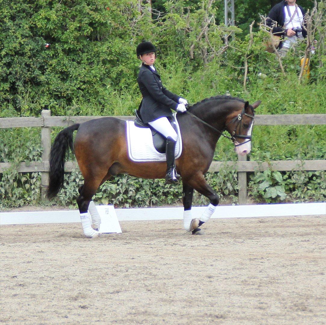 Stævner<3 - Stævne på Mattssons d. 10 juni 2012 - mit første stævne. Startede Lc2 og Lb2<3 billede 4