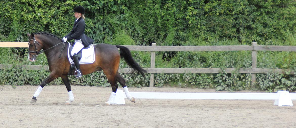 Stævner<3 - Stævne på Mattssons d. 10 juni 2012 - mit første stævne. Startede Lc2 og Lb2<3 billede 6