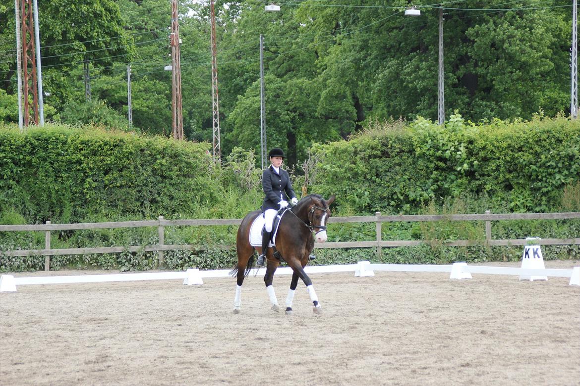 Stævner<3 - Stævne på Mattssons d. 10 juni 2012 - mit første stævne. Startede Lc2 og Lb2<3 billede 8