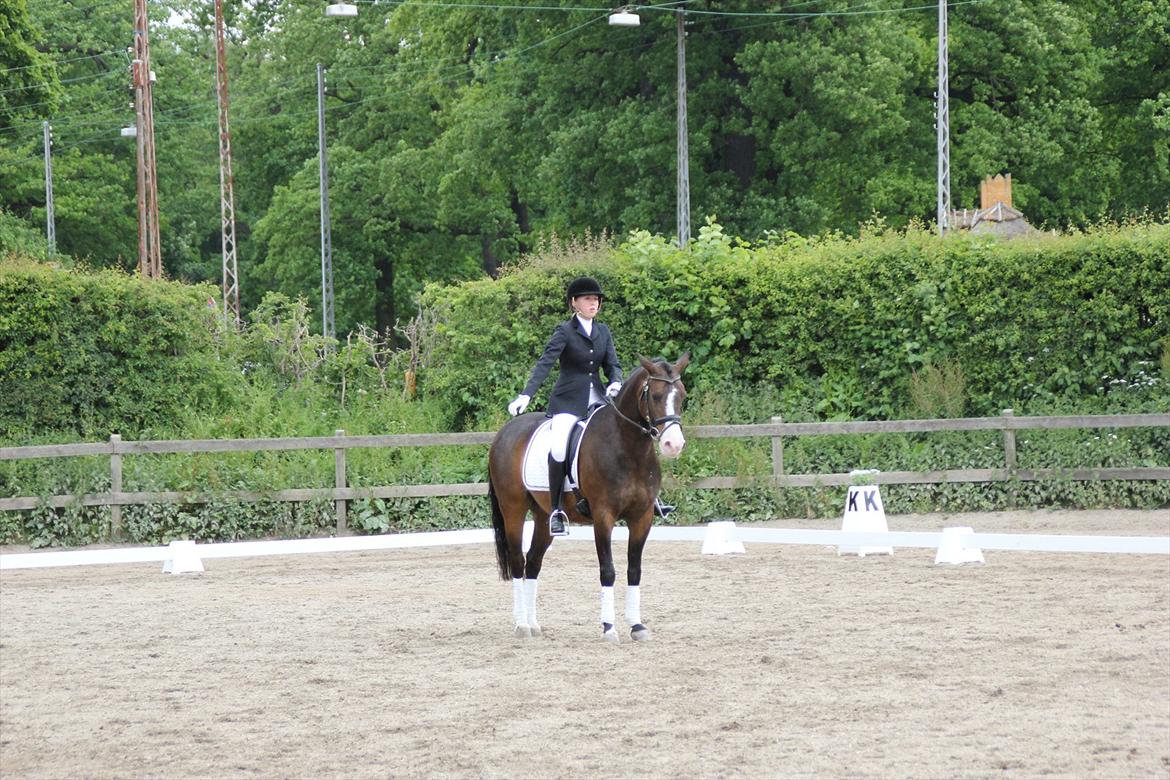 Stævner<3 - Stævne på Mattssons d. 10 juni 2012 - mit første stævne. Startede Lc2 og Lb2<3 billede 9