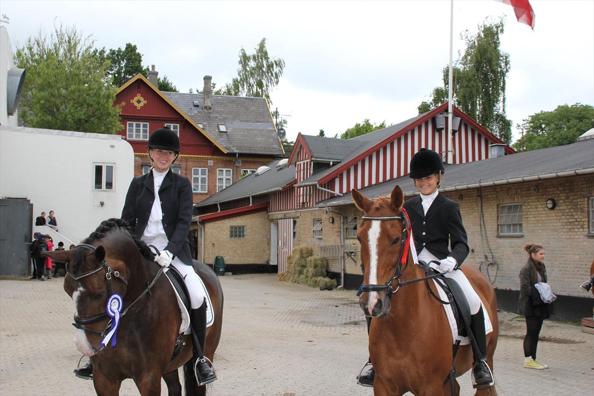Stævner<3 - Stævne på Mattssons d. 10 juni 2012 - mit første stævne. Startede Lc2 og Lb2<3
- Anden plads i Lb2'en - red forkert i programmet og mistede første pladsen... billede 11