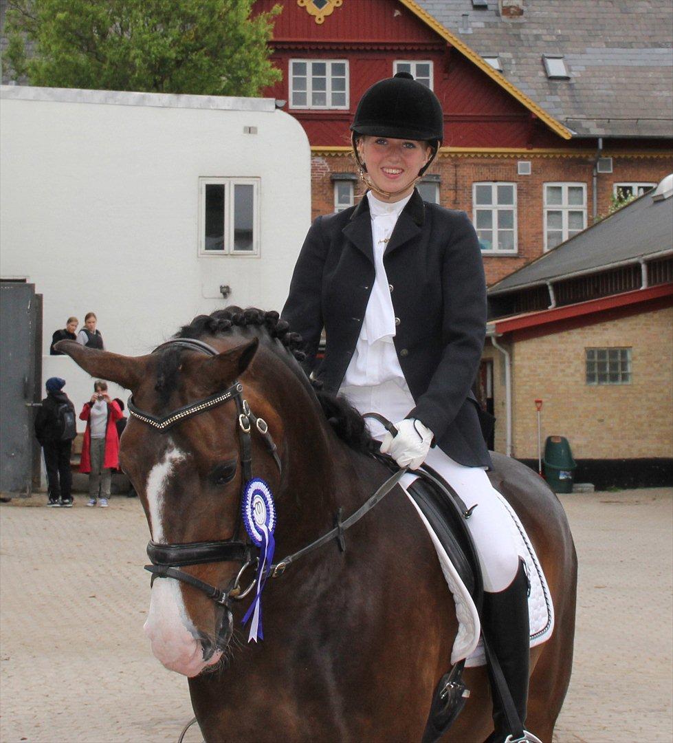 Stævner<3 - Stævne på Mattssons d. 10 juni 2012 - mit første stævne. Startede Lc2 og Lb2<3
- Anden plads i Lb2'en - red forkert i programmet og mistede første pladsen... billede 12