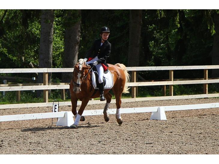 {{currentPhoto.altText}} billede {{currentPhoto.number}}