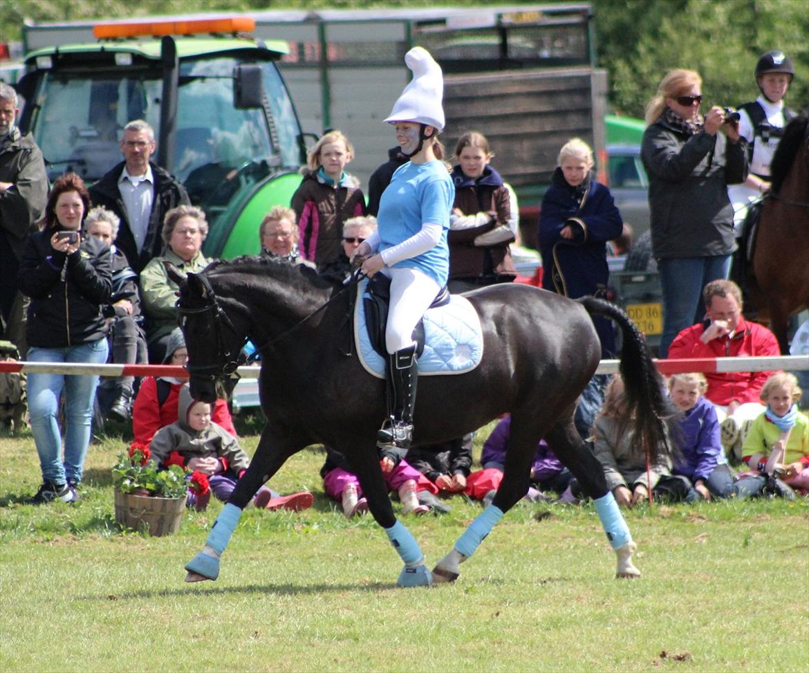 Aabenraa Dyrskue med Confetti - Til Julie og Magic billede 35