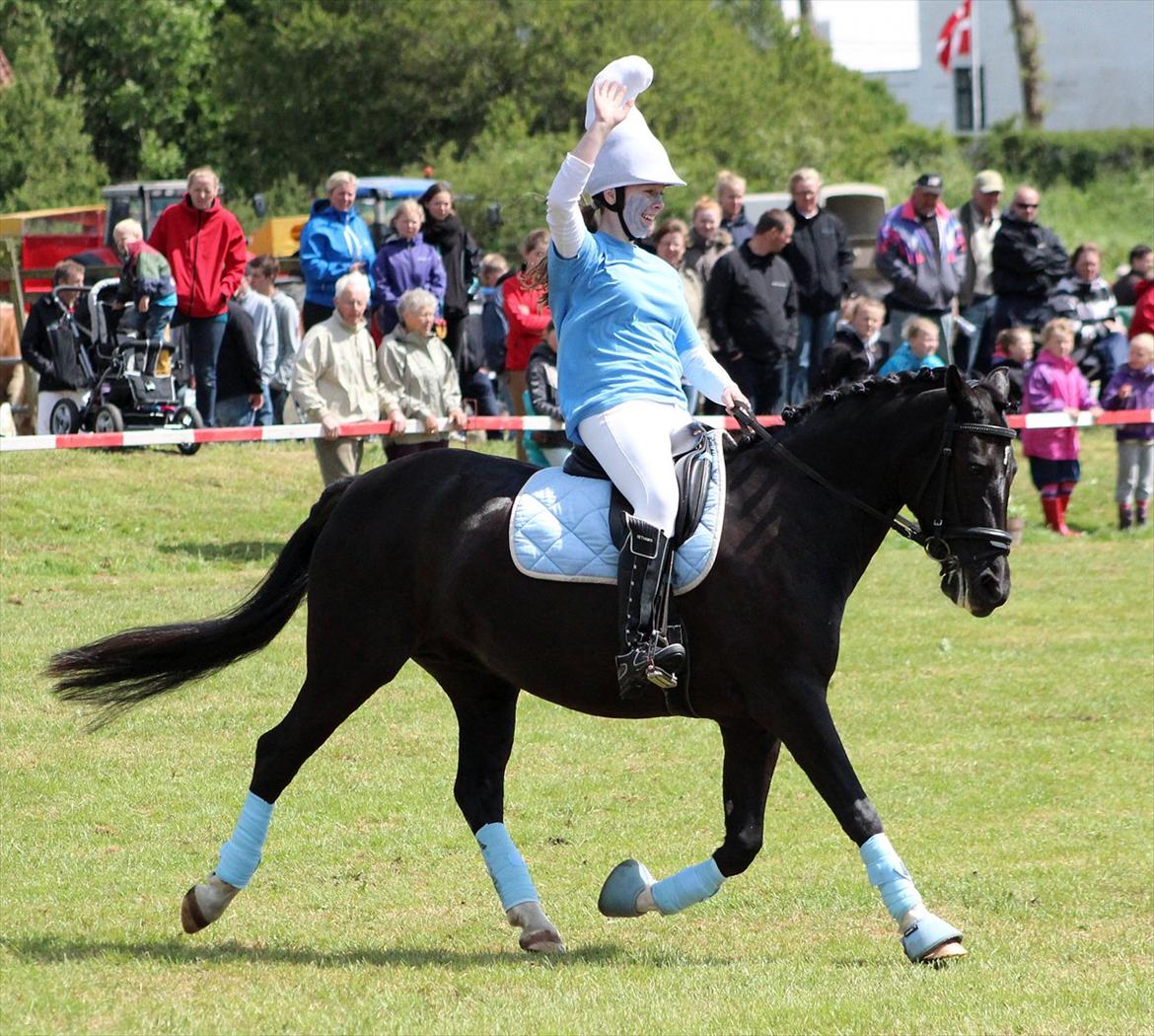 Aabenraa Dyrskue med Confetti - Til Julie og Magic billede 36