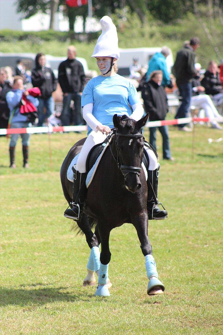 Aabenraa Dyrskue med Confetti - Til Julie og Magic billede 37