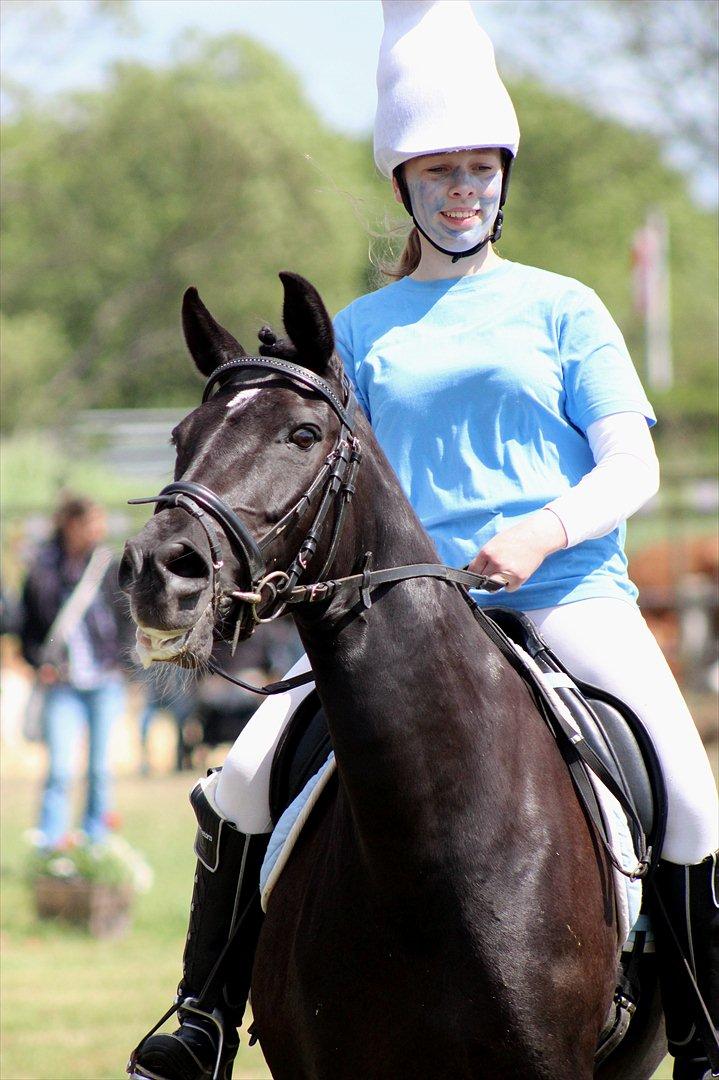 Aabenraa Dyrskue med Confetti - Til Julie og Magic billede 39