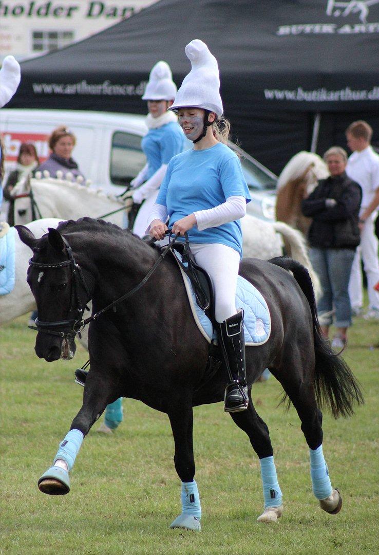 Aabenraa Dyrskue med Confetti - Til Julie og Magic billede 43
