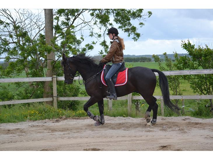 {{currentPhoto.altText}} billede {{currentPhoto.number}}