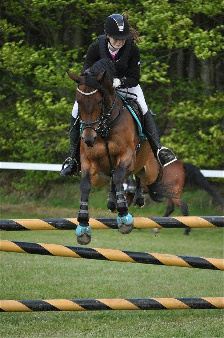 Hjallerup Marked & Morsø - Sultan og Sofie billede 3