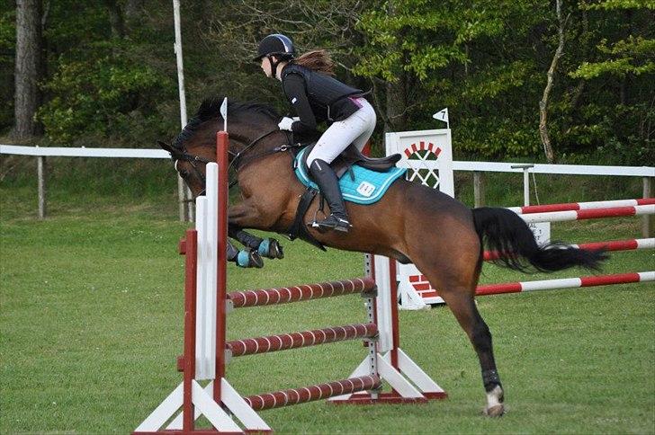 Hjallerup Marked & Morsø - Sultan og Sofie billede 4