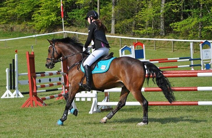 Hjallerup Marked & Morsø - Sultan og Sofie billede 6