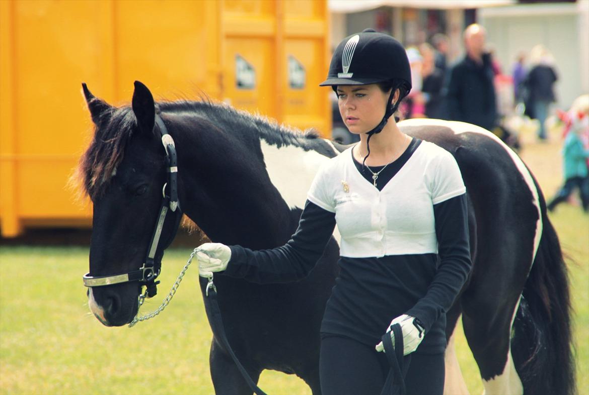 Bentley Af Bølå & Monique Kromann (LRØ dyreskue i Horsens D. 14-16 Juni, 2012) billede 1