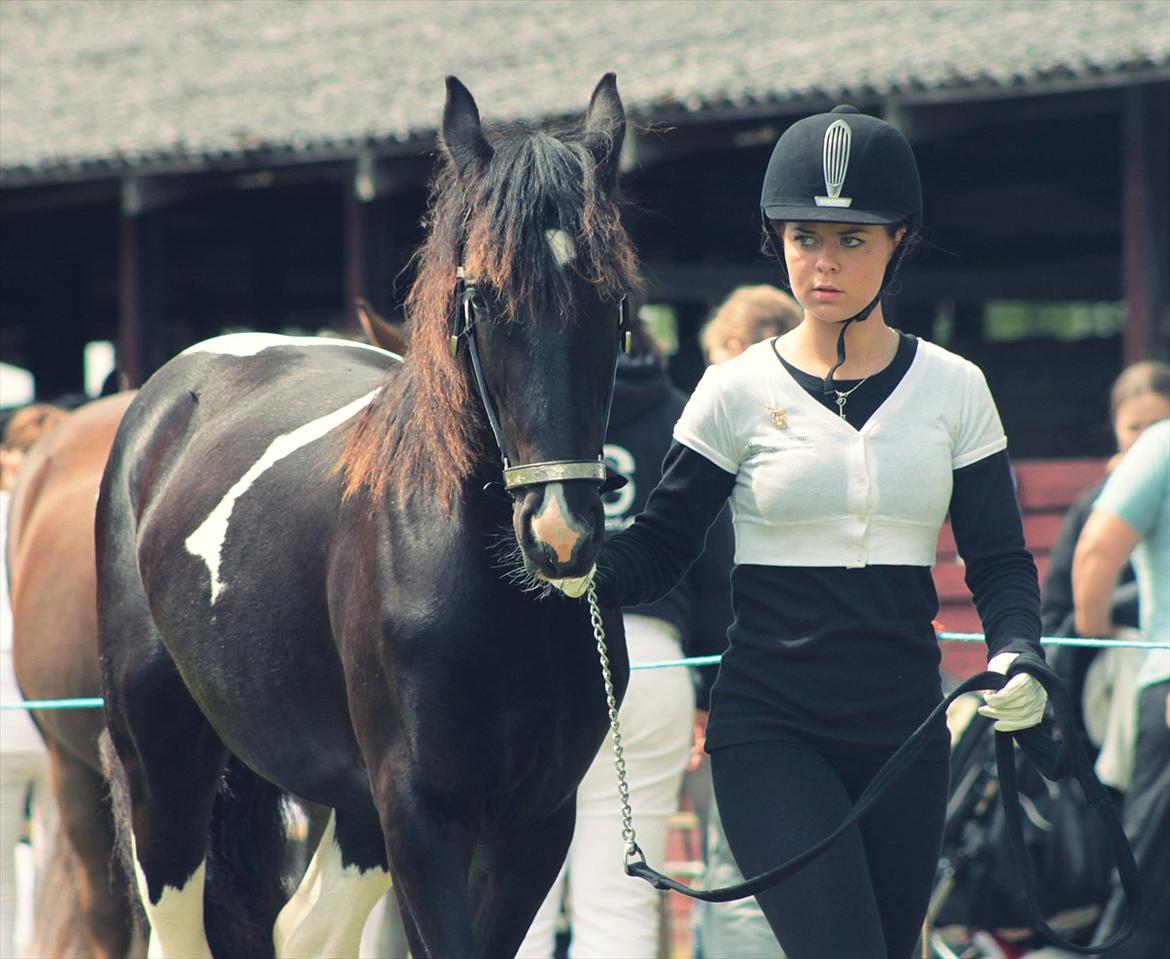 Bentley Af Bølå & Monique Kromann (LRØ dyreskue i Horsens D. 14-16 Juni, 2012) billede 2