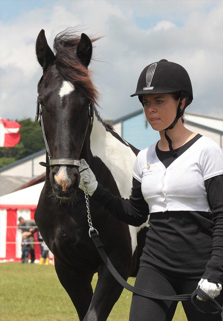Bentley Af Bølå & Monique Kromann (LRØ dyreskue i Horsens D. 14-16 Juni, 2012) billede 7
