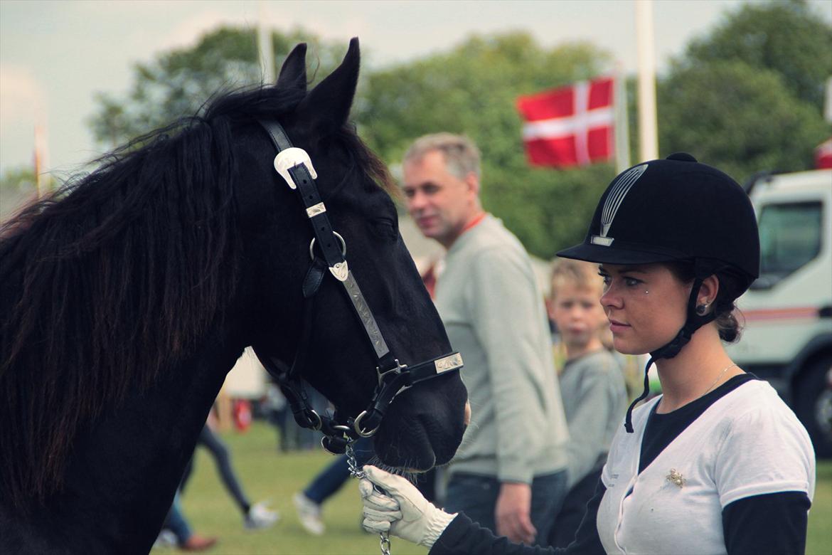 Bentley Af Bølå & Monique Kromann (LRØ dyreskue i Horsens D. 14-16 Juni, 2012) billede 19