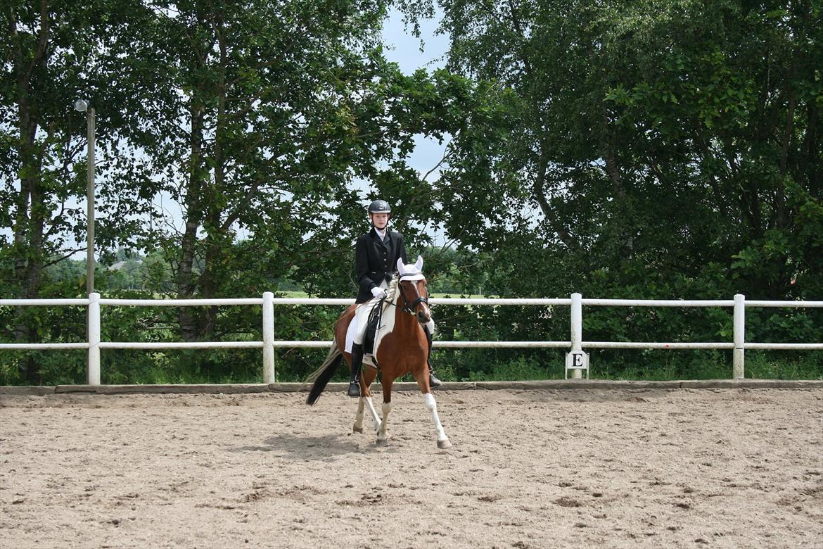 Pinocchio Star- LD1 og 2 til Klubstævne på Vamdrup rideklub d. 16/6-12 billede 2