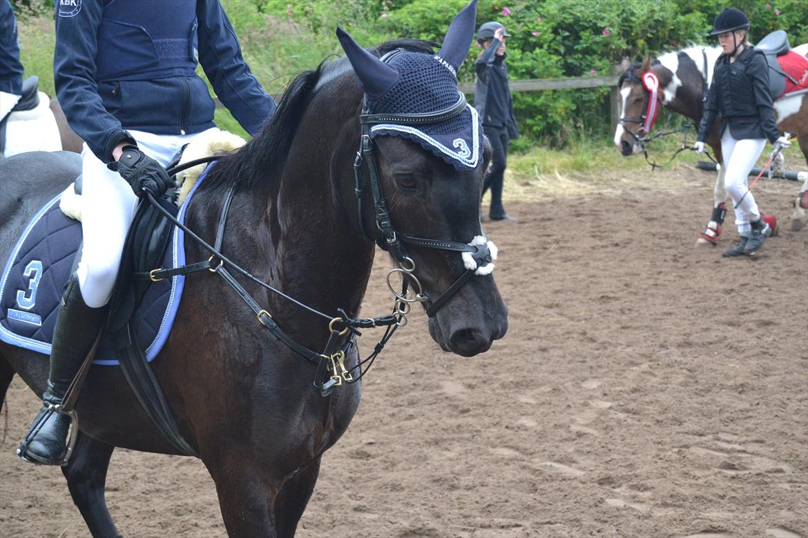 Signe og Champass Antonius  billede 1
