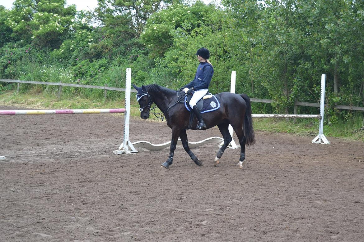 Signe og Champass Antonius  billede 2