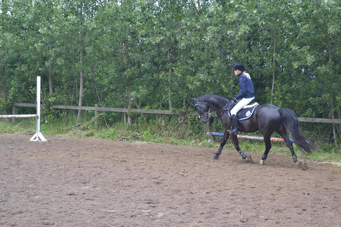 Signe og Champass Antonius  billede 3