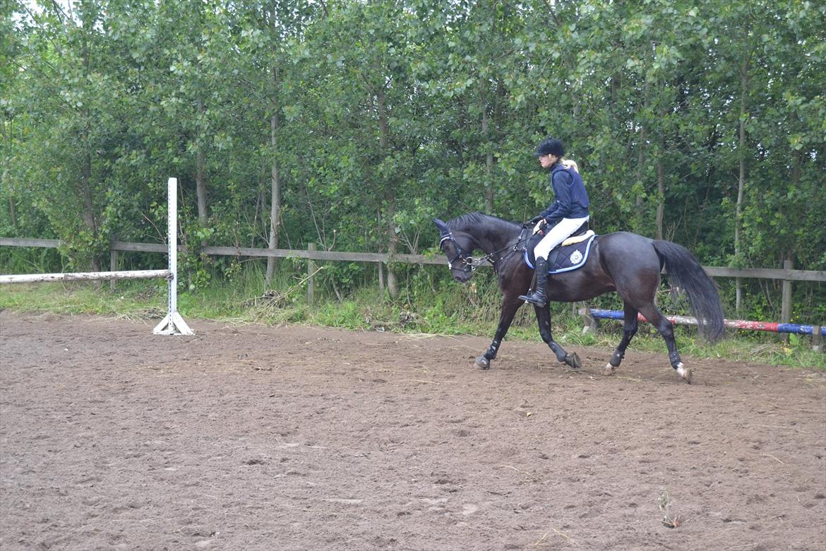 Signe og Champass Antonius  billede 4