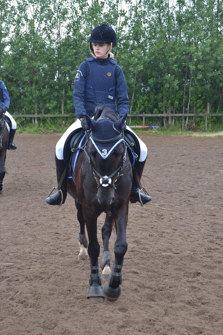 Signe og Champass Antonius  billede 6