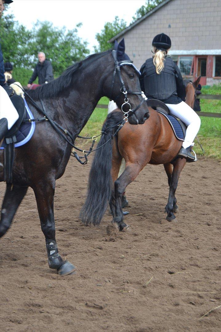 Signe og Champass Antonius  billede 7