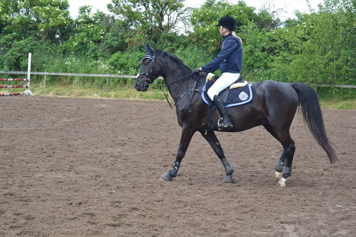 Signe og Champass Antonius  billede 8