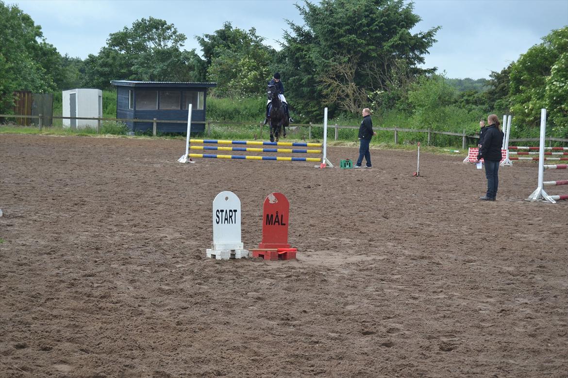 Signe og Champass Antonius  billede 10