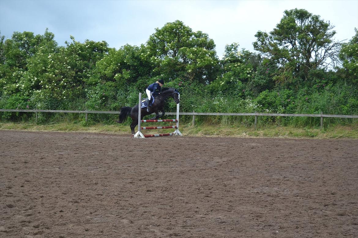 Signe og Champass Antonius  billede 11