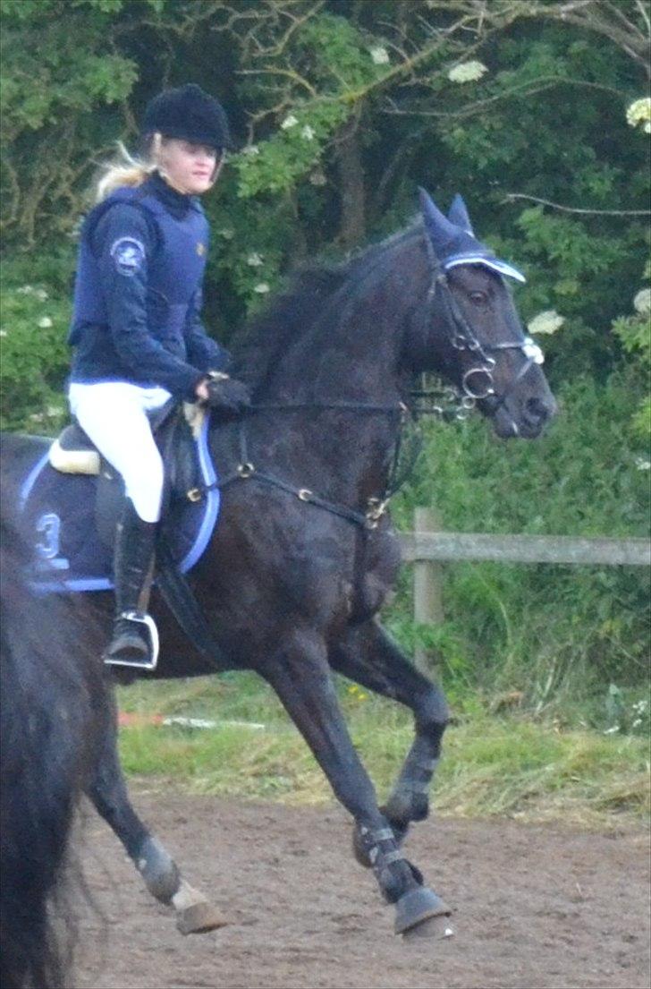 Signe og Champass Antonius  billede 12