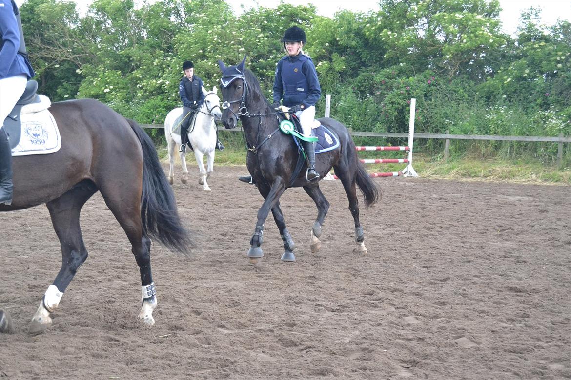 Signe og Champass Antonius  billede 14