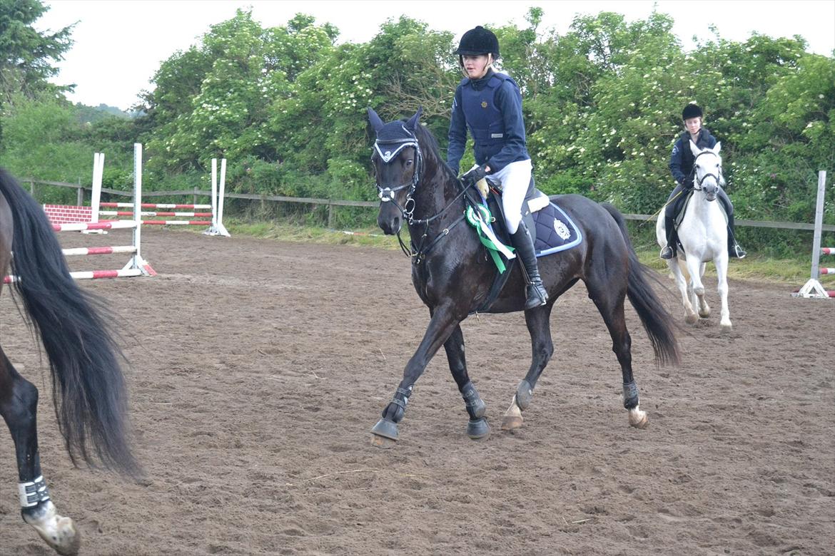 Signe og Champass Antonius  billede 15