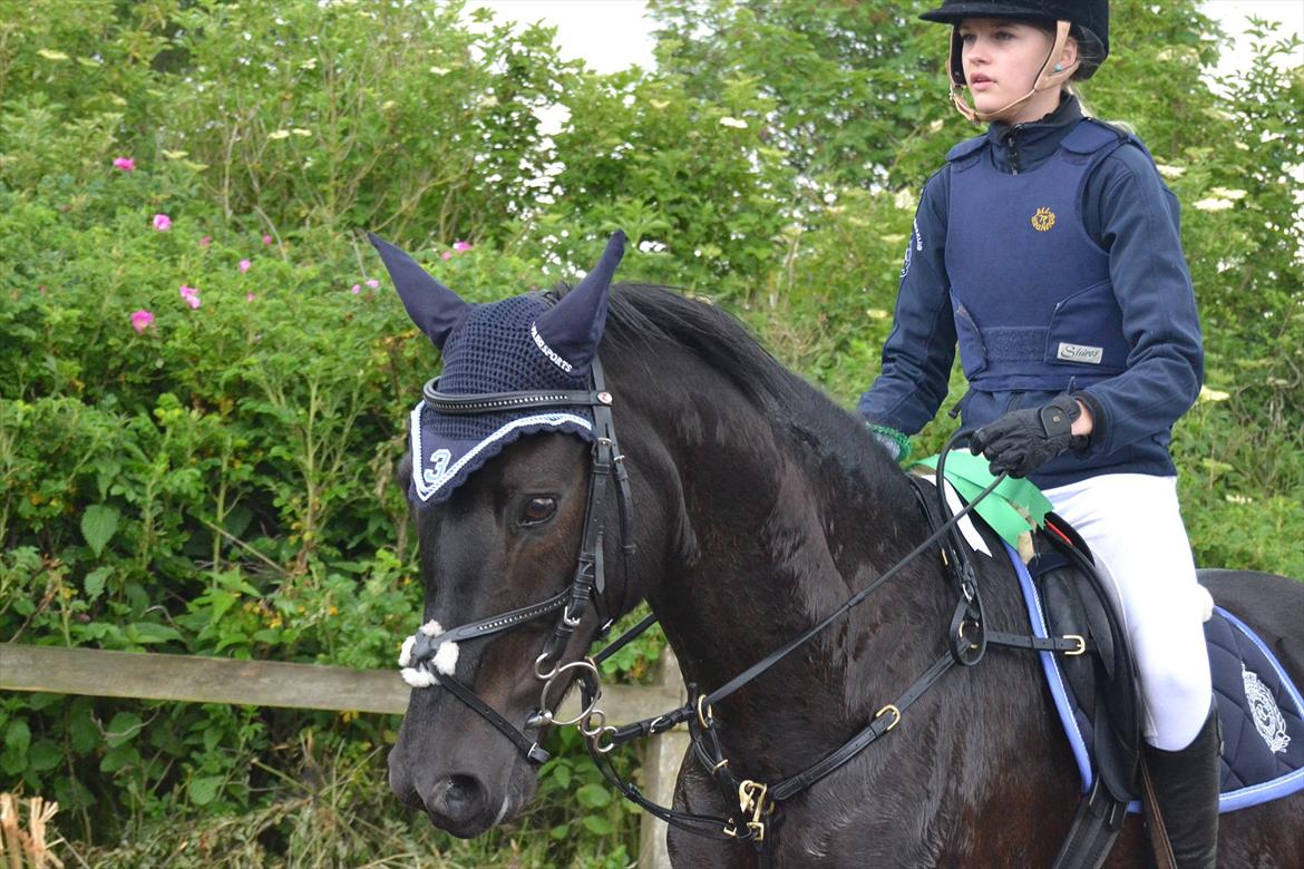 Signe og Champass Antonius  billede 16