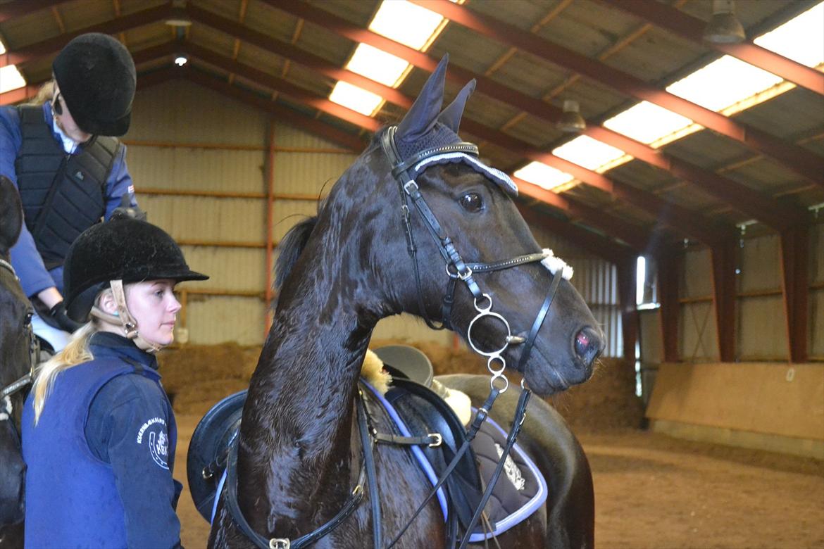 Signe og Champass Antonius  billede 17