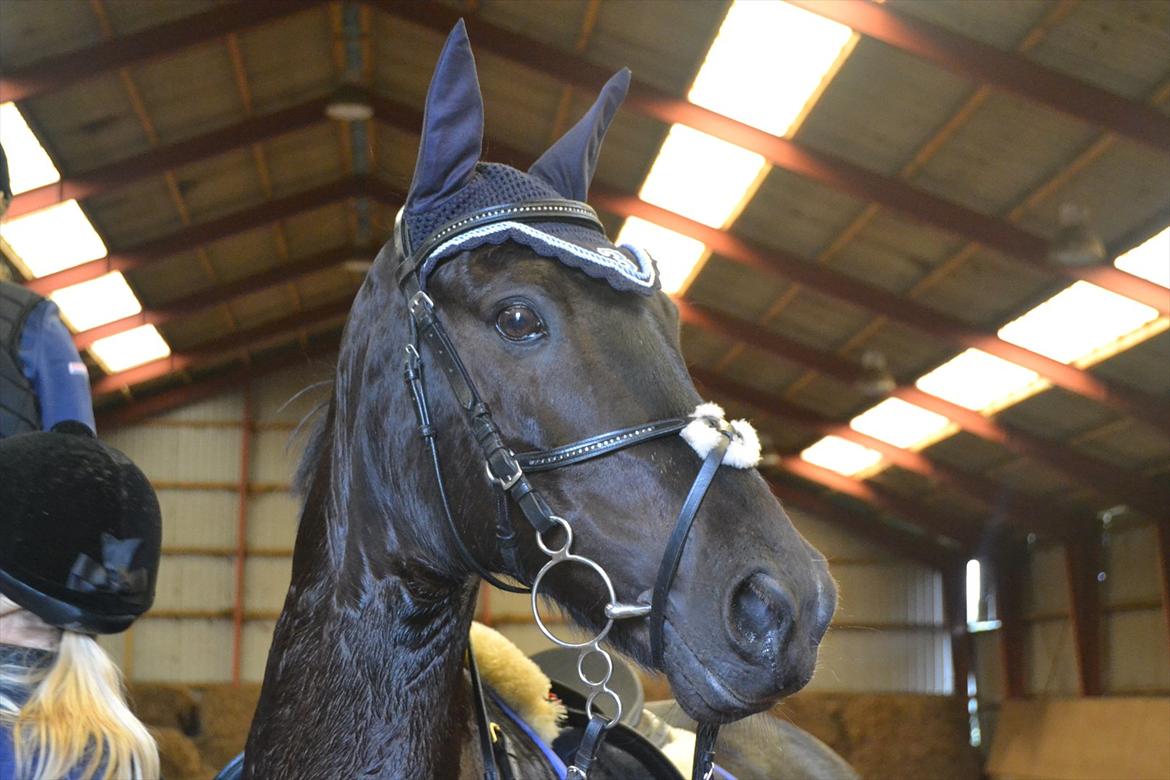 Signe og Champass Antonius  billede 18